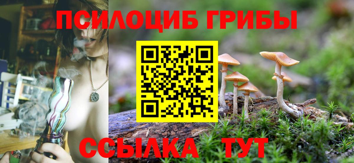 Псилоцибиновые грибы мицелий Щёлково